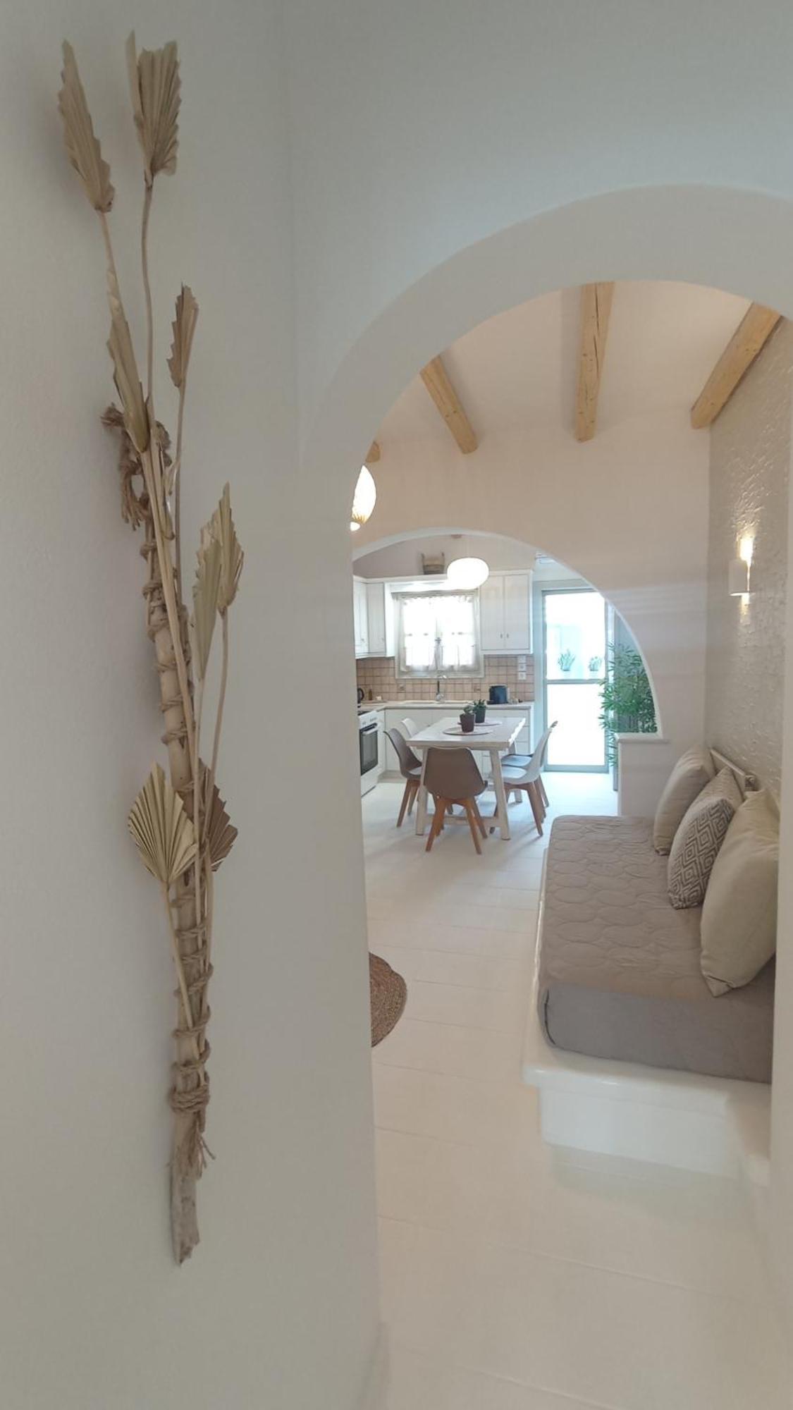 Evdion Naxos Town Apartment Naxos City Exterior photo